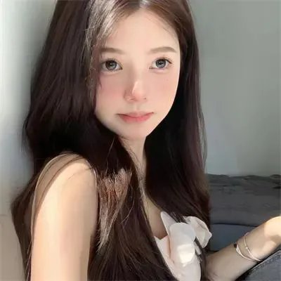 认识狗狗