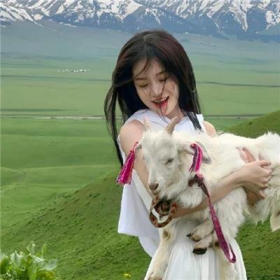 泰山传奇:森林争霸